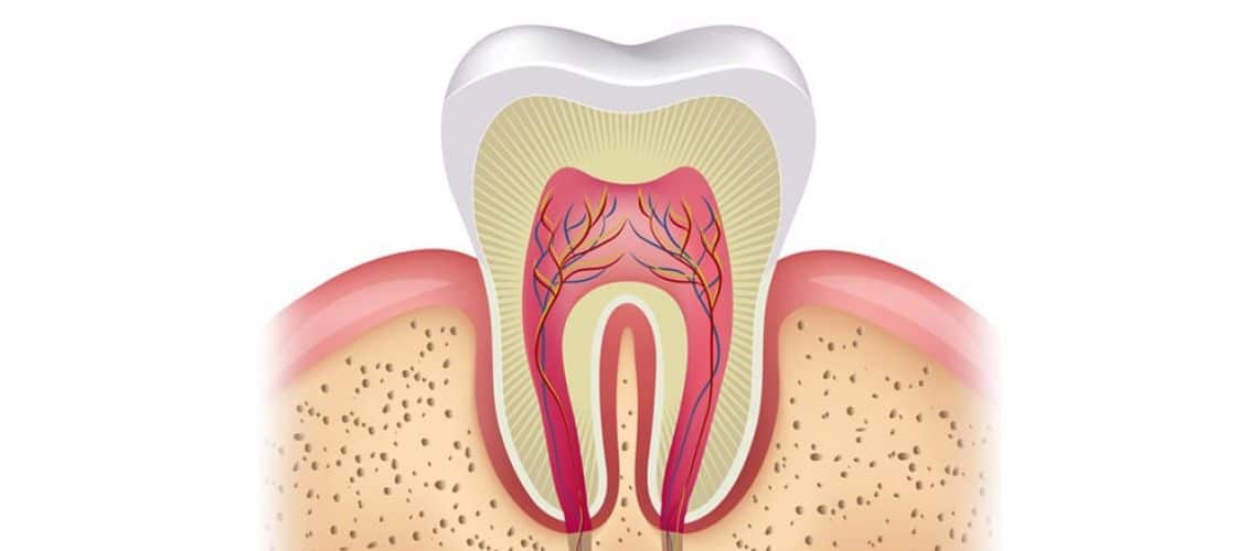 root-canal-myths
